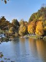 IMG-20251013-WA0003.jpg