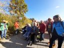 IMG-20251013-WA0006.jpg