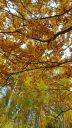 IMG-20251020-WA0014.jpg